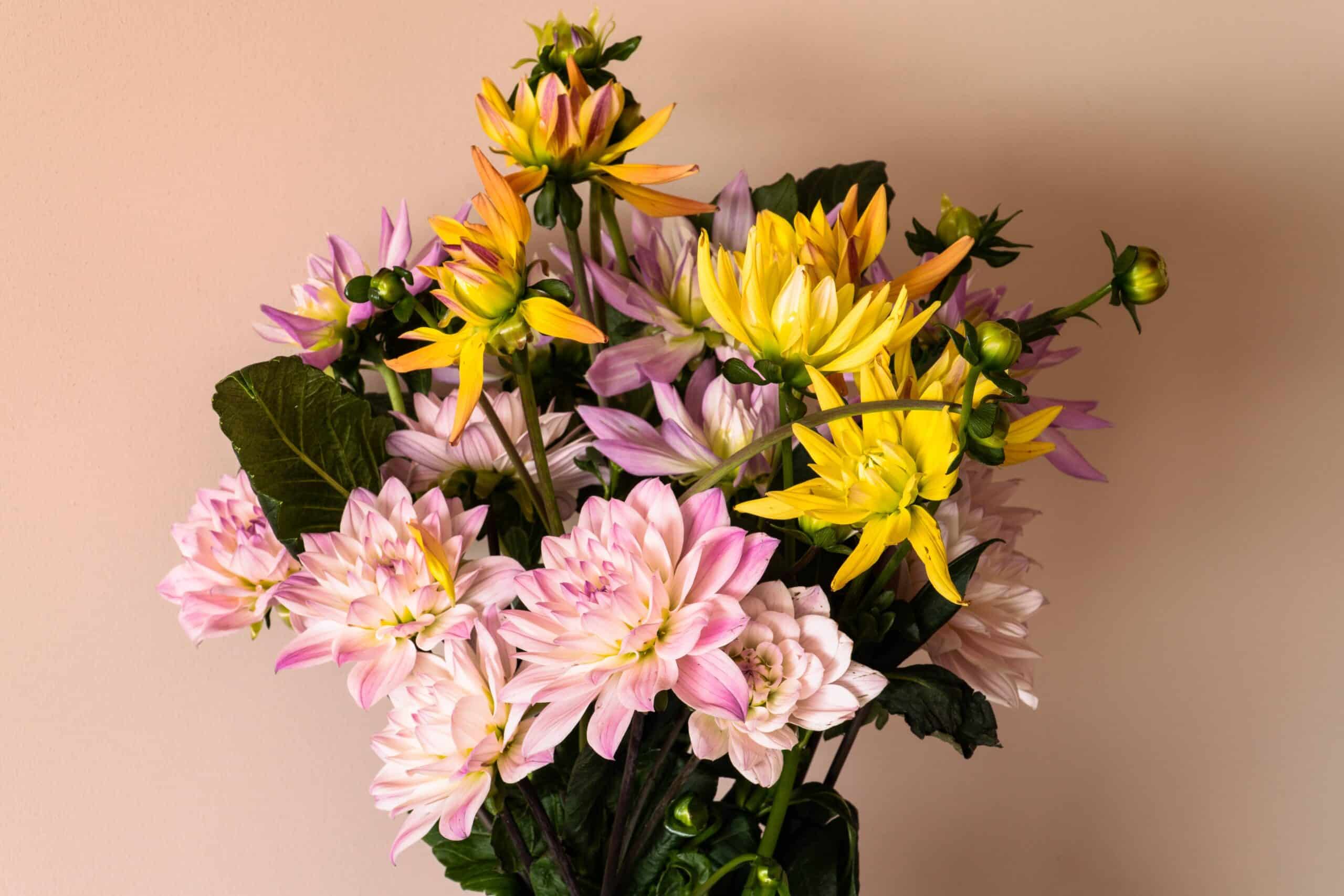 bouquet de fleurs champêtres